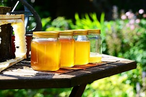 How to Package Honey: Labeling and Transportation - BeeKeepClub