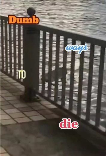 skateboard fail😱#skateboard #fail #skatefail #fails #prank | Skateboard