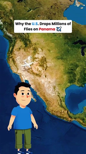 Why the US Drops Millions of Flies on Panama #geography #facts #us #panama #map