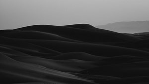 Can You Use Roofing Paper For Landscaping? (Detailed Guide)