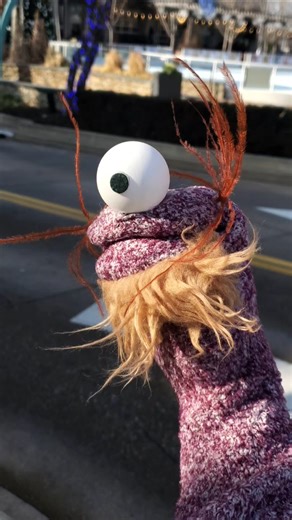 The Sock Puppet Life