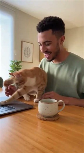 Watch Cat Send EMAIL Like A Pro! #CatVideos #cat #Pets #shorts #viralvideo