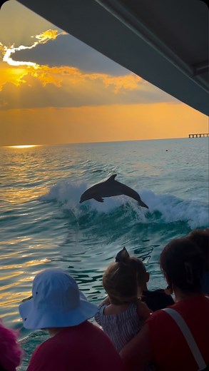 2.6K views · 84K reactions | It can’t get much better than #dolphins jumping in front of the #sunset | Sea Screamer | Facebook