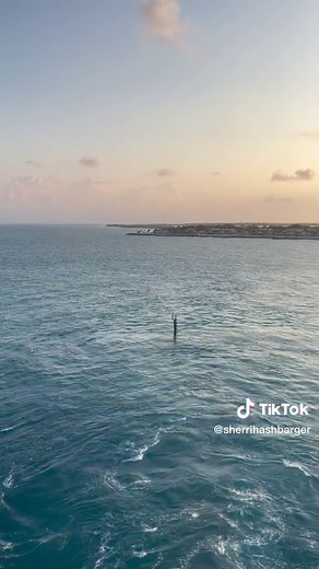 Spent spring break on the Serenade of the Seas. Beach time in Bimini. Snorkeling in Nassau. Perfect Day in Coco Cay going down North America’s tallest water slide. Days at sea reading on the balcony, lounging by the saltwater pool and fancy dinners in the main dining room. Couldn’t have asked for a better family vacation. Thanks @royalcaribbean #springbreak #cruise #bahamas #serenadeoftheseas