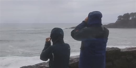 Fun ideas for spring break 2023