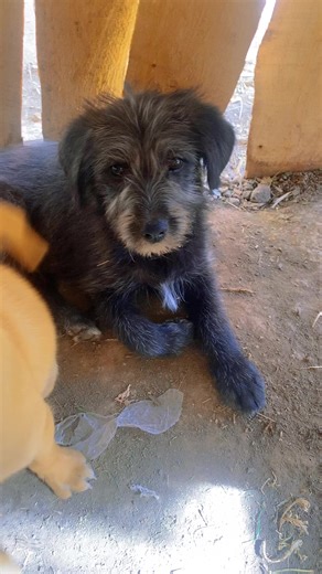 Understanding the Intuitive Empath: A Guide