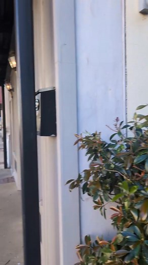 🍂Come shop with me in beautiful historic downtown Columbus, MS this fall! Find unique and fun options to help decorate your home, elevate your style, or give you a fun way to spend time with friends. 😍Please join me again soon for more ideas on where to shop in downtown Columbus, MS! Mira Mira Boutique The Southern Exchange Fired Up Studio Mississippi Main Street Association #mainstreetcolumbus #spookyseason #halloween #shop #shopping #shopwithme #shoppingwithme #letsgoshopping #eatlocal #shop