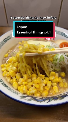 Essential Things to Know Before Traveling to Japan Pt.1