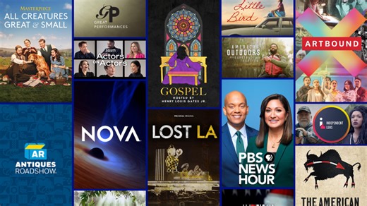 Aging in America: Survive or Thrive