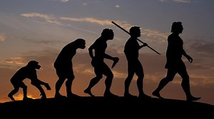 「Human Evolution Time Lapse Sunrise Colorful」の動画素材（ロイヤリティフリー）1071003025 | Shutterstock