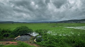 Beautiful video of passenger side window pov in an Indian train passing through the lush green paddy fields, flood plains, mountains and jungles during peak Monsoon season in India