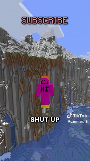 the rarest minecraft account... | minecraft