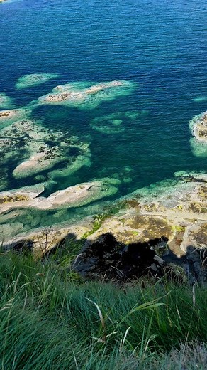 ✨Loved the info about Bass Rock’s geological history🪨 ✨Bass Rock’s history is truly fascinating🫶 📍Bass Rock Island in the Firth of Forth Scotland 📸 @mytravellexperience Have a great day ☺️ . . . . . #bassrock #scotland #northberwick #eastlothian #bass #tantalloncastle #bassplayer #visitscotland #eastlothianlife #bassguitar #bassrockchallenge #rock #basscover #bassmusic #bassist #bassgroove #bassline #firthofforth #sea #contrabaixo #beach #musicmanbass #musicmanbongo #eastlothianbusiness #dun