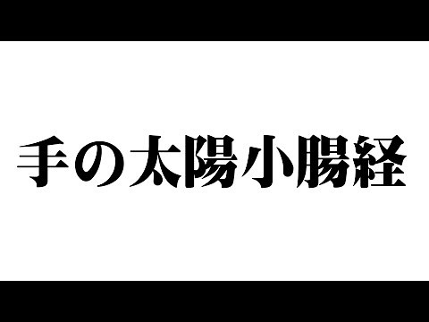 8.手の太陽小腸経の歌【経絡・ツボの覚え方】