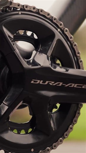 SWI × The Bike Tailor