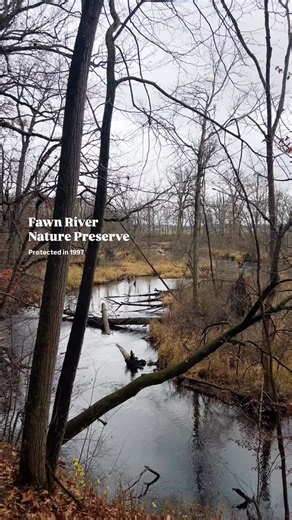 74 reactions | Fawn River Nature Preserve’s trail takes you through golden fall forests and springtime vernal pools. The star of the show? Fawn River. These crystal-clear waters are home to threatened freshwater mussels that filter gallons daily, keeping the ecosystem thriving. #NatureTrail #FawnRiver #Indiana #HiddenGems #Wildlife | ACRES Land Trust | Facebook