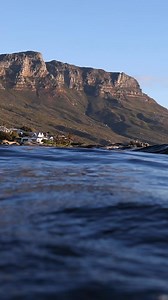 2M views · 33K reactions | Do you see the rainbow reflections? 勞 | Minds in the Water | Facebook