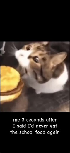 Mr.banana (@mr.banana859)’s videos with original sound - Mr.banana