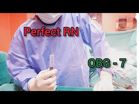 Vaginal Orifice and Hymen | Female Reproductive System
