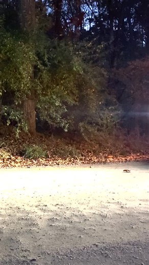 1.2K views · 41 reactions | Halloween Hayride Family Fun 2025!  #holloween | Hook n' Look | Facebook