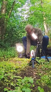 Squirrel Showdown: Squirrels compete for their moment in the spotlight, and even the woodpeckers want a piece of the action. A beautiful summer morning filled with feathery and furry drama! | Squirrels by Fotoscenen