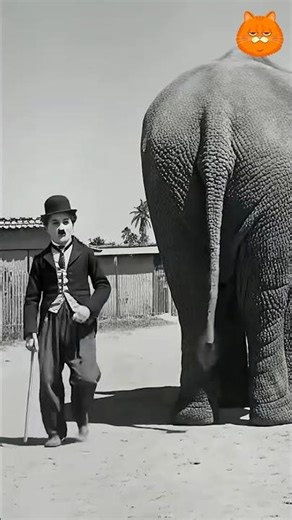 The 12-minute standing ovation that made history — Charlie Chaplin