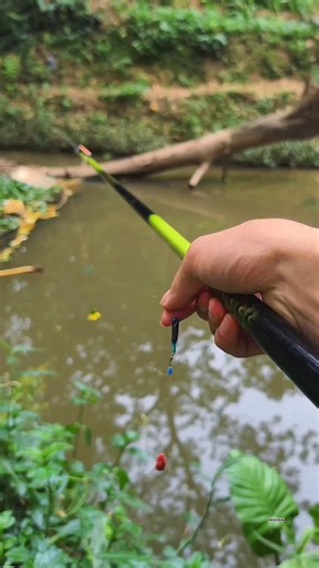 Fishing Video in Small Muddy River | Catch Unique Fish in The World #fishing #shortvideo