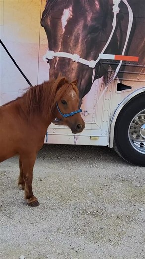 Clinton Anderson Walkabout Tour - Kalispell, MT Horse Trailer Journey