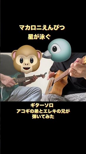 #星が泳ぐ #マカロニえんぴつ #guitar #fyp