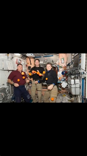 How Scientists Made Life Possible in Space | Life in International Space Station | ZemTv