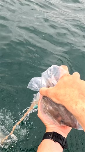 JAMES MATARAZZO on Instagram: "BURLEY IS KEY! 🐟 Brings in the fish every time! #snapperfishing #kayakfishing #jamesfishingadventures #bigfish #viral"