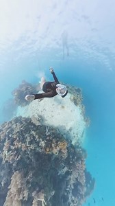 15K views · 243 reactions | What we meant by having fun. 﫶﫰 #Freedive #Insta360 | Sea Diver PH | Facebook