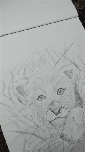 Little Simba drawing