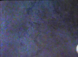 The Ben Stiller Show: Complete Series