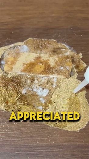 This Is What the Fastest Way to Restore Any Wooden Table Looks Like