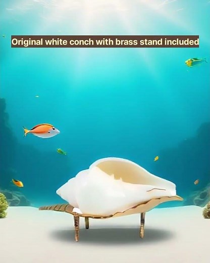 MAYAPURI Jal Shankha for Puja | Non-Blowing White Conch with Brass Stand | Ganga Jal Pooja Shankh