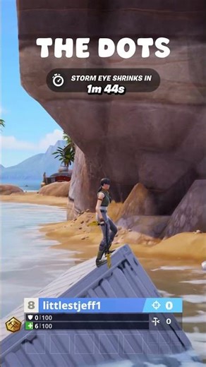 Did Epstein actually used to play Fortnite?