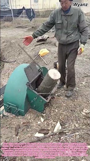 How Wood Waste is Recycled: Turning Tree Trunks into Useful Material | Sustainable Process