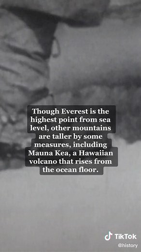 Animals in Everest Summit - Discover Mt. Everest Wildlife