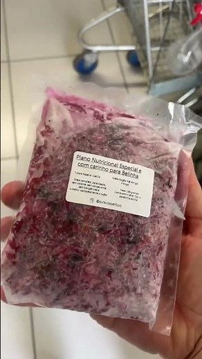 Cachorro Com Problema de Fígado. O Que Dar Para Cachorro Com Problema de Fígado Comer?