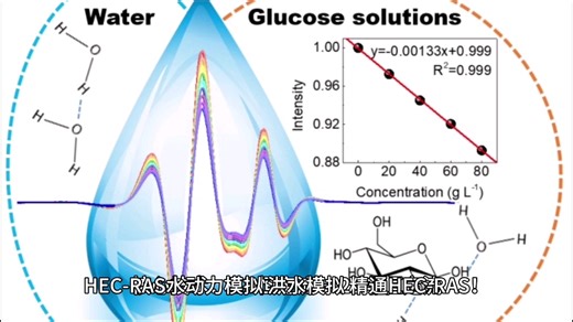 HEC-RAS 水动力模拟、洪水模拟，精通 HEC-RAS！19 个实战案例从入门到专家实现专业水动力与水环境模拟！核心技术：1D 恒定流