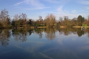 Wood Lane Fishery, Iver Heath | Fishery Guide