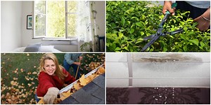 A complete season-by-season guide to home maintenance to retain your property’s value