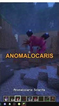 CÓMO CONSEGUIR al ANOMALOCARIS en MINECRAFT MARVELOUS MENAGERIE PARADOXICAL
