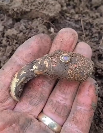 When Beeps Lead to Bling: An Anglo-Saxon Surprise in Wiltshire In the ever-exciting world of metal detecting—where one might typically unearth a rusty nail or a long-lost bottle cap—Paul Gould struck gold, quite literally, during a rally in West Wiltshire. What started as a rather fruitless day turned into the discovery of a nationally significant Anglo-Saxon hoard, reminding us that beneath Britain’s green and pleasant land, history occasionally pops up with a cheeky grin. The rally, organised 