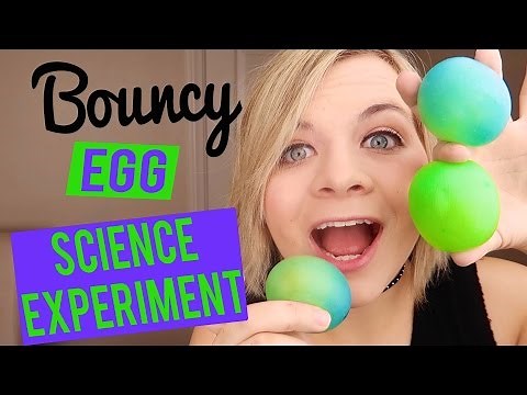 DIY BOUNCY EGG! - SCIENCE EXPERIMENT (FUN AND EASY) // SoCassie