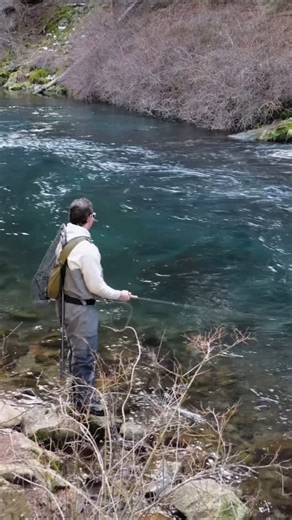 Jon Hardman on Instagram: "New video is out now! My first time chasing bull trout with my buddy @va_flyfisher on one of the coolest rivers I’ve been to. Go check it out! #troutfishing #troutofinsta #troutonfly #trouthunting #flyfishing #flyfishingaddict #bulltrout #bulltroutonthefly #fish #fishing #fishinglife #outdoors #nature #ig #instagram #igreels #reels"