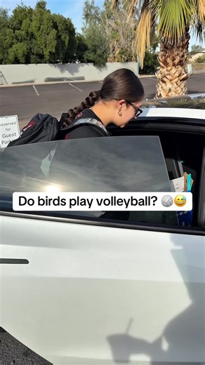 Come with me to volleyball practice as a club volleyball mom 🏐 What started as a Chick-fil-A run turned into rescuing a bird, a PetSmart stop, and explaining to the club director why there was wildlife involved. Just another day managing kids, practice, and chaos. Be honest, what’s the weirdest thing that’s happened on your way to sports practice? 👀👇 #clubvolleyball #sportsmomlife #volleyballmoms #momchaos #youthsports