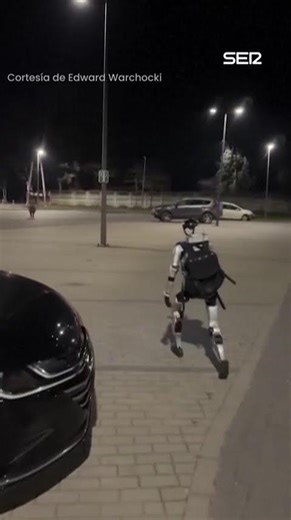 Imágenes de un robot humanoide persiguiendo a una manada de jabalíes en Polonia