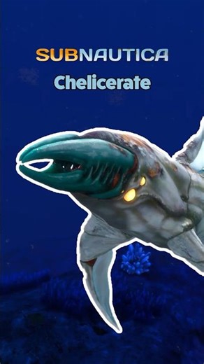 Chelicerate: The Nightmare Stalking the Void 🕷️🌌